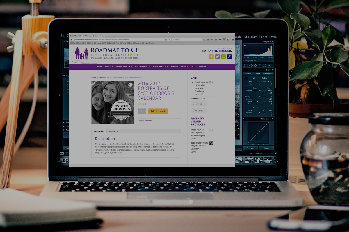 E-commerce web design services from web design and SEO company Novi, MI